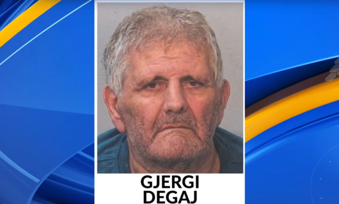 Driver jailed after fatal six-vehicle pileup lacked license and credentials