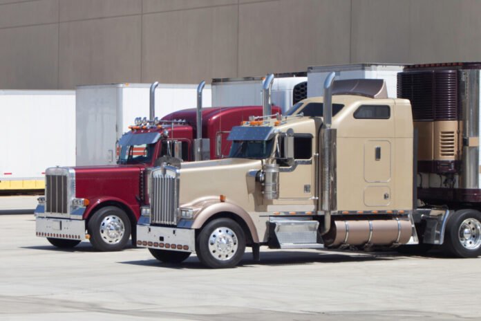 Georgia woman charged in massive tax fraud scheme targeting truckers