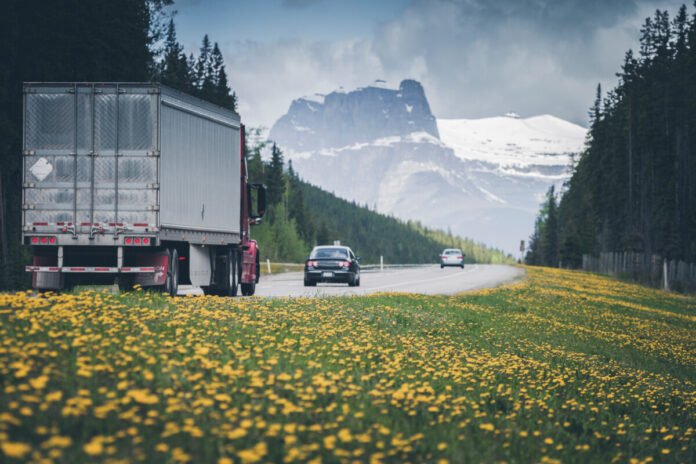Trucking companies: Twenty shut down by Canadian government for safety violations