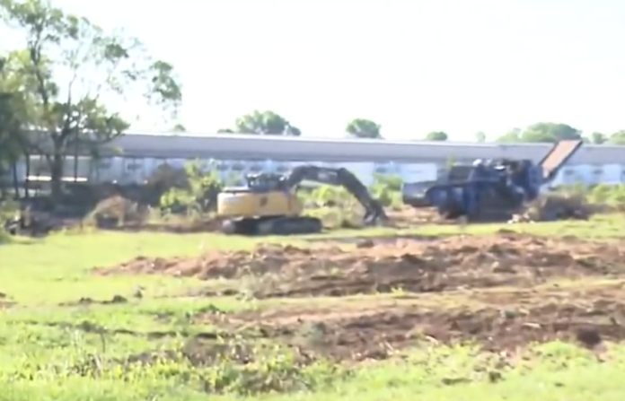 Trucking terminal cited as tree removal sparks public nuisance claims
