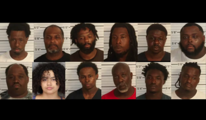 Stolen chicken heist: 13 arrested after $250k poultry theft uncovered